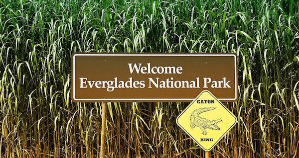 Parques nacionales everglades